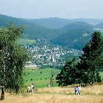 'villa Edelweiss' De Luxe Mit Hotelanbindung, Saunalandschaft Und Meinecardplus Appartement Willingen (Upland)