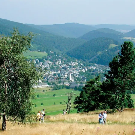 'villa Edelweiss' De Luxe Inkl Wellness-spa Und Meinecardplus Apartment Willingen (Upland)