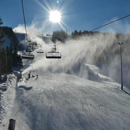 'villa Edelweiss' De Luxe Inkl Wellness-spa Und Meinecardplus Διαμέρισμα