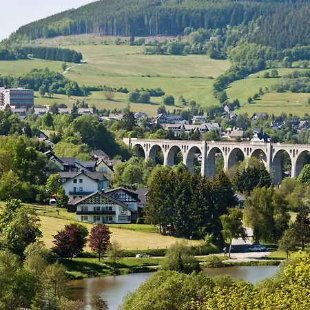 Appartement 'villa Edelweiss' De Luxe Inkl Wellness-spa Und Meinecardplus Willingen (Upland)