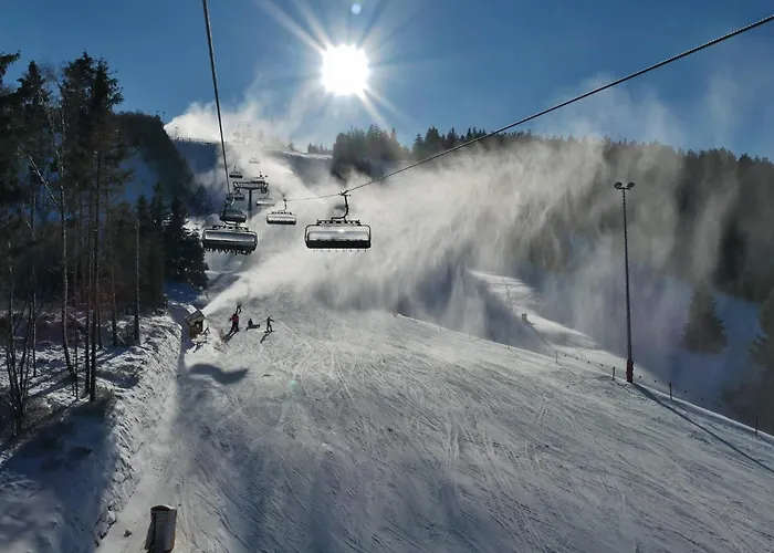 'villa Edelweiss' De Luxe Inkl Wellness-spa Und Meinecardplus 아파트